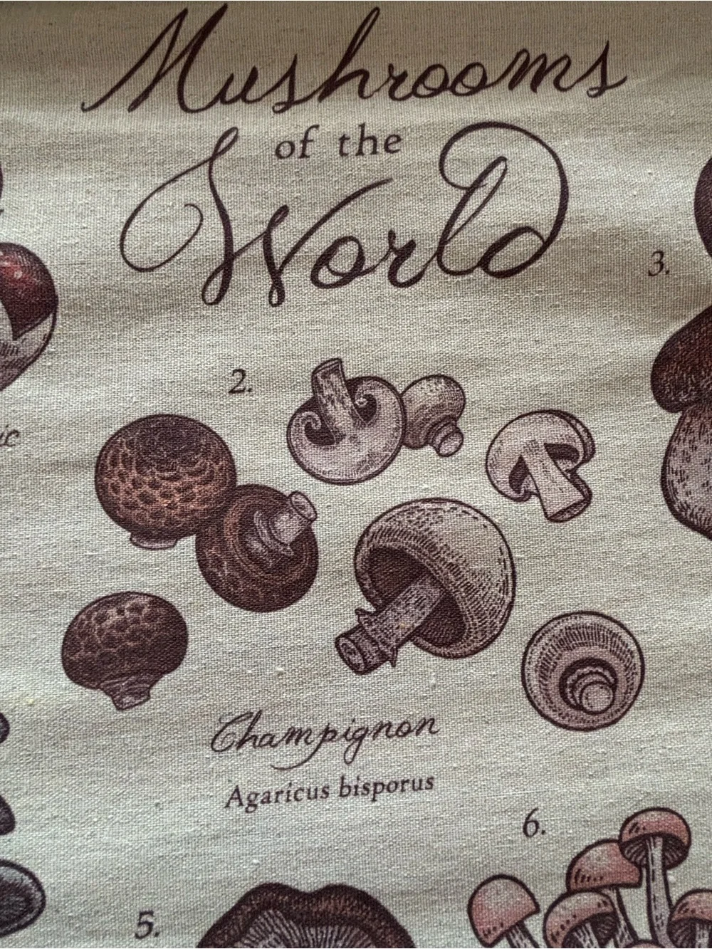 Mushrooms of the World Wall Hanging - Neutral Brown Canvas